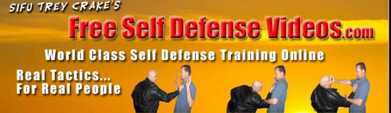 Free Self Defense Banner